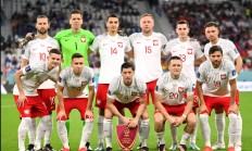 爱游戏vip注册-瑞典小胜波兰，成功晋级8强