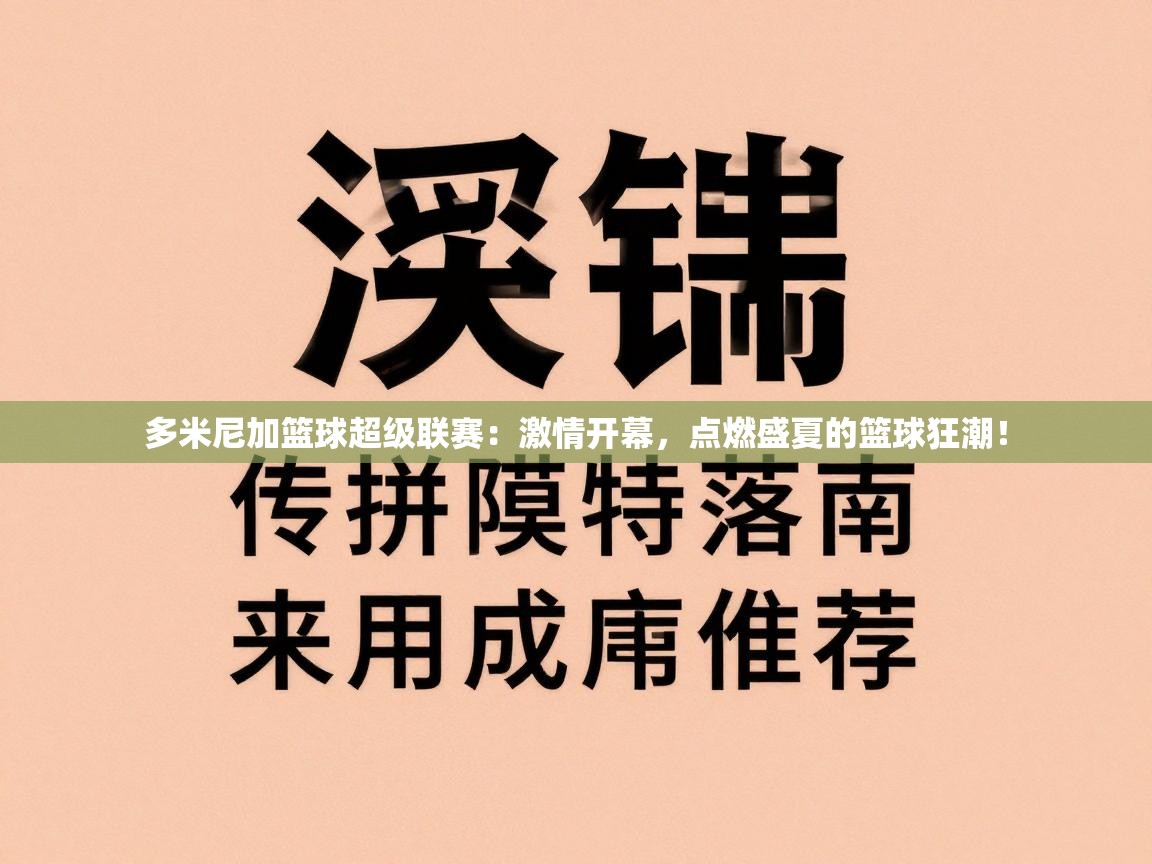 多米尼加篮球超级联赛:激情开幕,点燃盛夏的篮球狂潮! 第1张