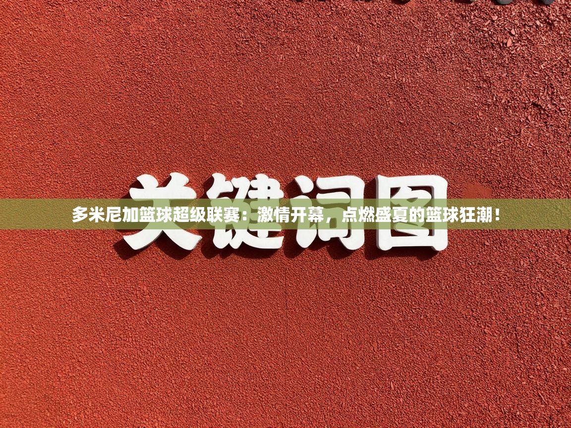 多米尼加篮球超级联赛:激情开幕,点燃盛夏的篮球狂潮! 第2张