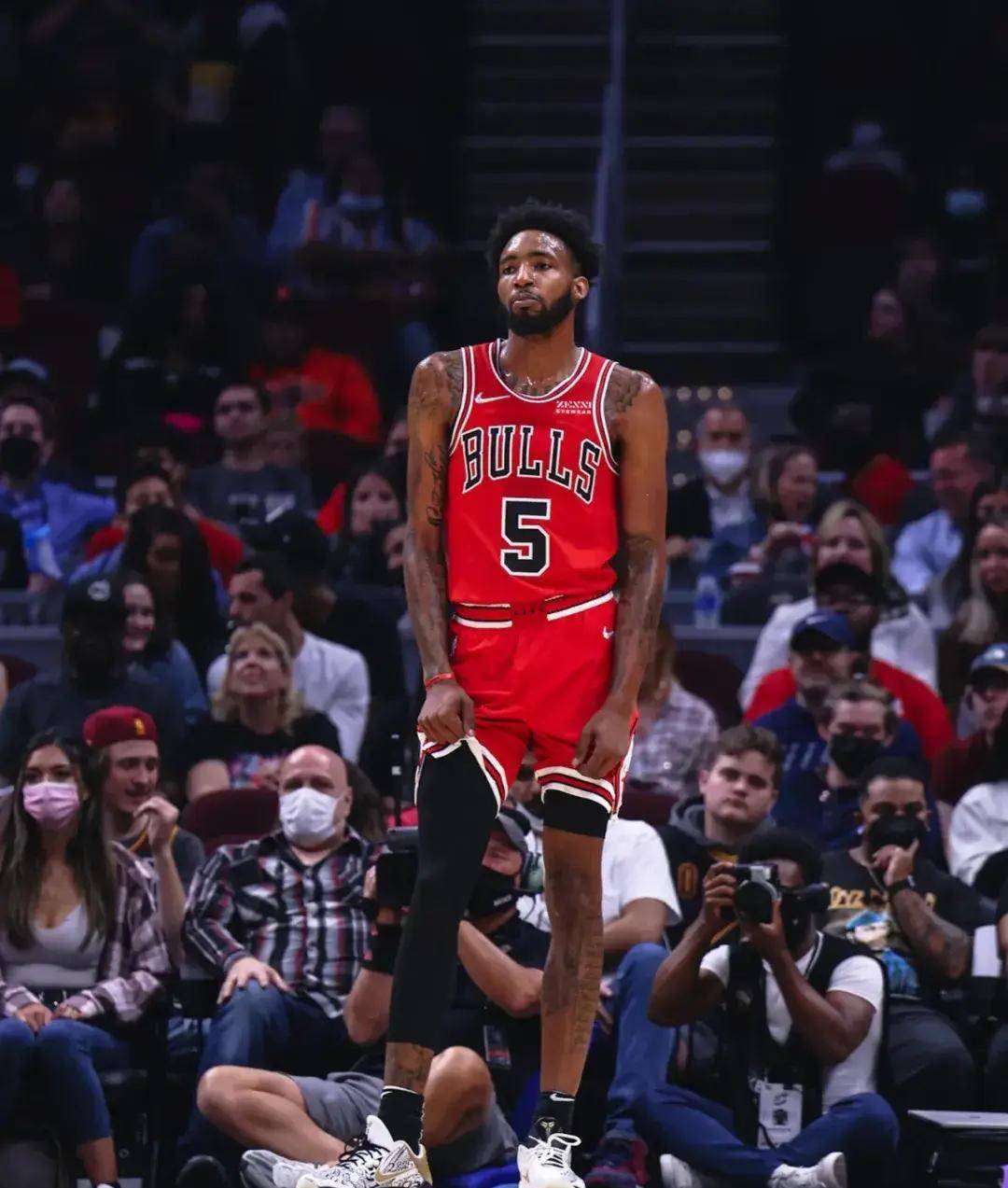 包含小牛起飞！新晋全明星崭露头角的词条