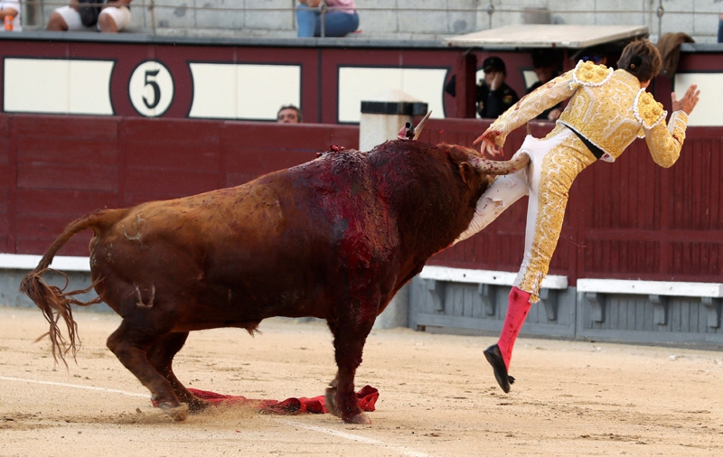 欧预赛惊险连连,胜者势不可挡的简单介绍 欧预赛惊险连连,胜者势不可挡的简单介绍